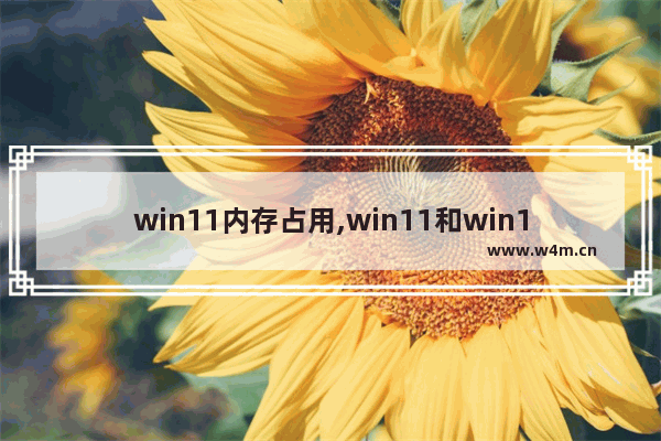 win11内存占用,win11和win10内存占用