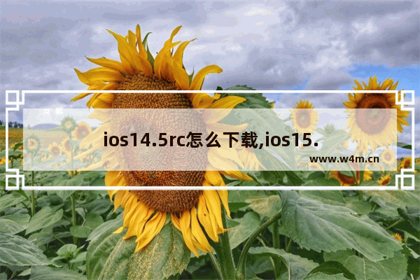 ios14.5rc怎么下载,ios15.0rc版