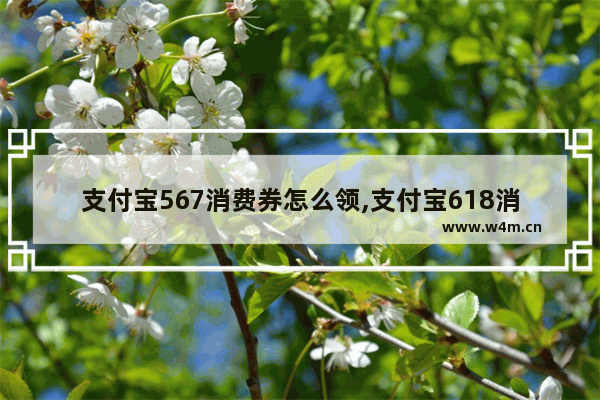 支付宝567消费券怎么领,支付宝618消费券怎么使用