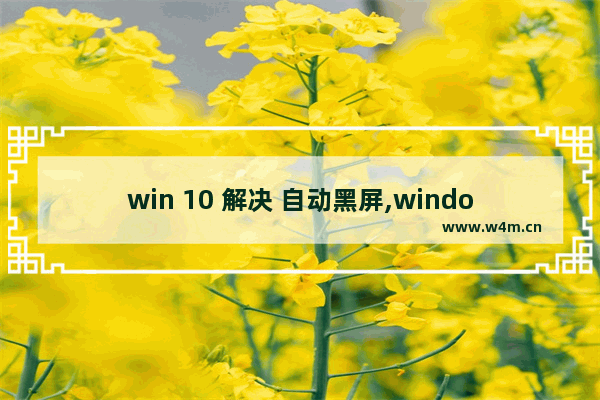 win 10 解决 自动黑屏,windows11启动黑屏