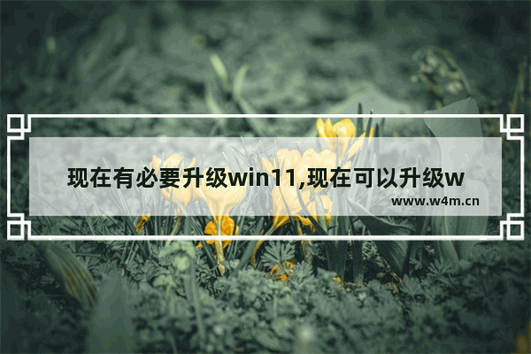 现在有必要升级win11,现在可以升级win11吗