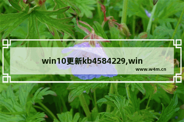 win10更新kb4584229,win10更新kb4579311