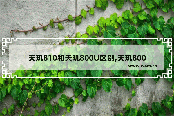 天玑810和天玑800U区别,天玑800u和麒麟810