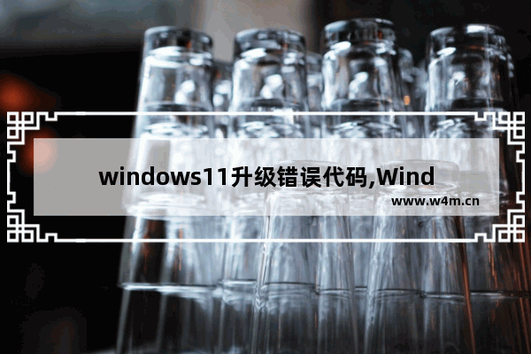 windows11升级错误代码,Windows11更新遇到错误