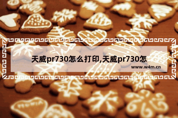 天威pr730怎么打印,天威pr730怎么调打印速度