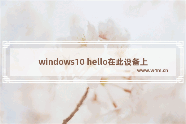 windows10 hello在此设备上不可用,win10 windows hello在此设备上不可用