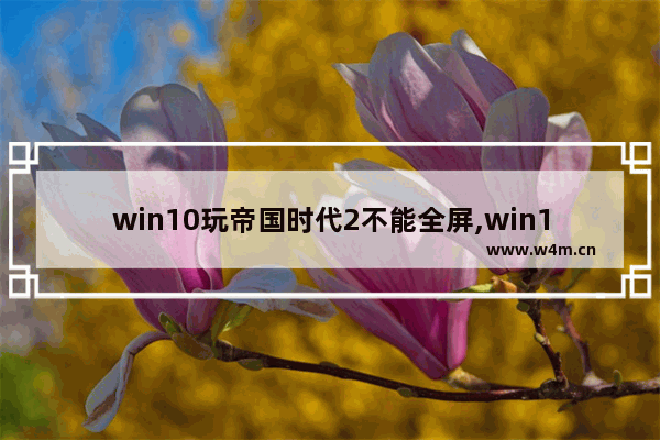 win10玩帝国时代2不能全屏,win10不能玩帝国时代2