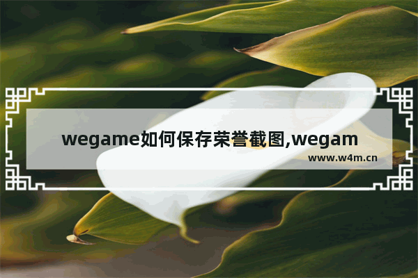 wegame如何保存荣誉截图,wegame的荣誉截图保留在哪