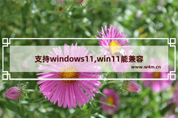 支持windows11,win11能兼容win10的软件吗