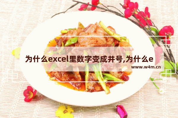 为什么excel里数字变成井号,为什么excel数字会变成井号