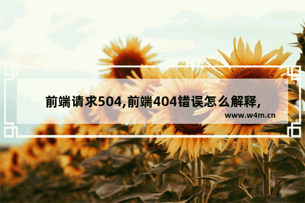 前端请求504,前端404错误怎么解释,前端请求504,前端404错误怎么回事