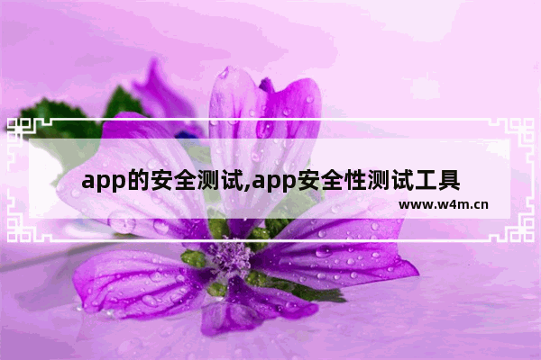 app的安全测试,app安全性测试工具