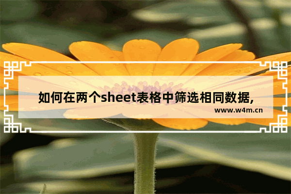 如何在两个sheet表格中筛选相同数据,excel怎么查找不同sheet的数据