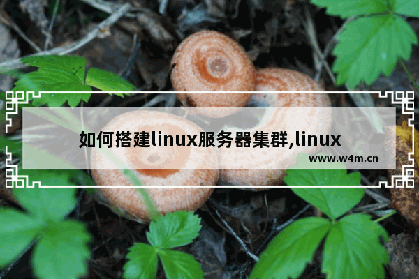 如何搭建linux服务器集群,linux服务器集群部署