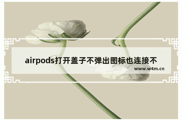 airpods打开盖子不弹出图标也连接不上,iphone无法打开testflight