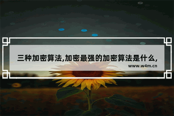 三种加密算法,加密最强的加密算法是什么,三种加密算法,加密最强的加密算法属于