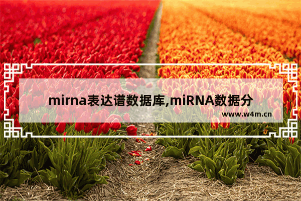 mirna表达谱数据库,miRNA数据分析