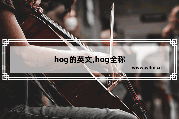 hog的英文,hog全称