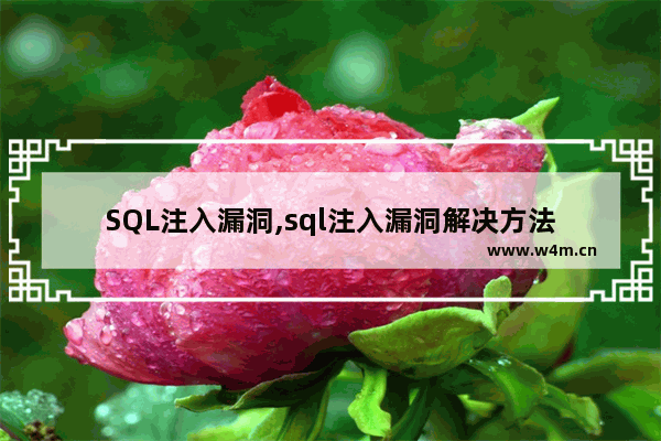 SQL注入漏洞,sql注入漏洞解决方法