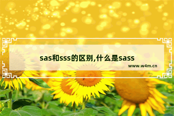 sas和sss的区别,什么是sass