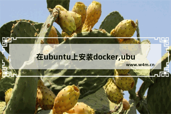 在ubuntu上安装docker,ubuntu20.04 安装docker