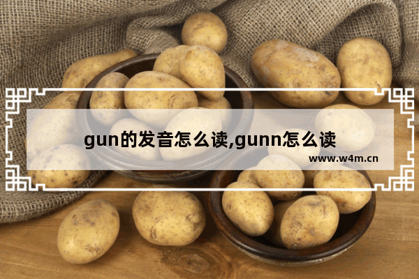 gun的发音怎么读,gunn怎么读