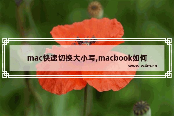 mac快速切换大小写,macbook如何切换大小写