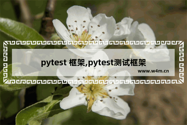 pytest 框架,pytest测试框架官方文档