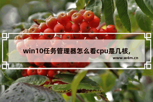 win10任务管理器怎么看cpu是几核,windows10查看cpu信息