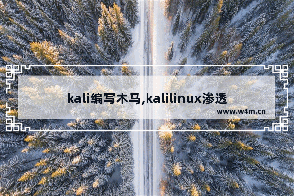 kali编写木马,kalilinux渗透教程