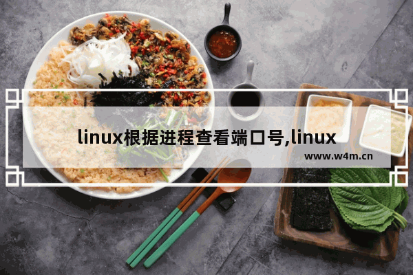 linux根据进程查看端口号,linux查看端口号对应的进程