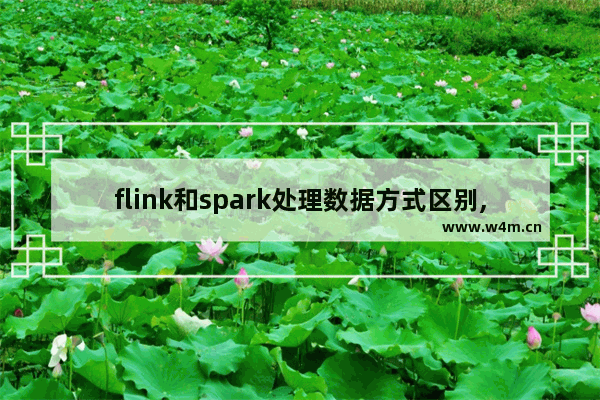 flink和spark处理数据方式区别,spark和flink的基本数据模型