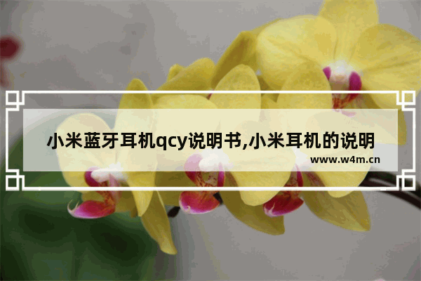 小米蓝牙耳机qcy说明书,小米耳机的说明书