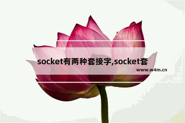 socket有两种套接字,socket套接字是由什么和什么组成