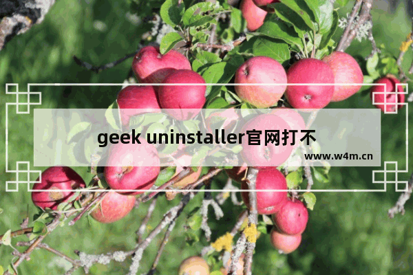 geek uninstaller官网打不开,geek uninstaller官网翻译