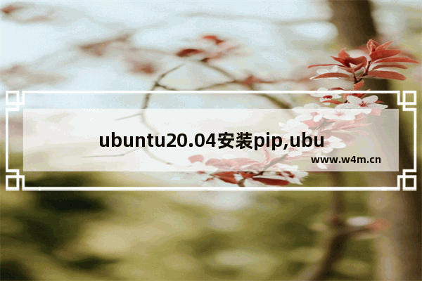 ubuntu20.04安装pip,ubuntu升级pip3