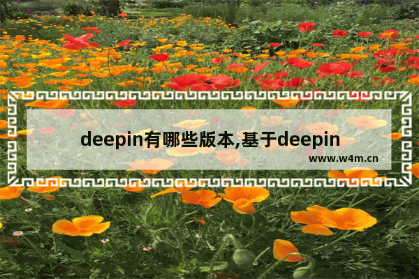 deepin有哪些版本,基于deepin的发行版linux