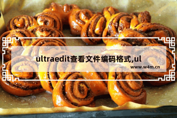 ultraedit查看文件编码格式,ultraedit怎么看编码格式