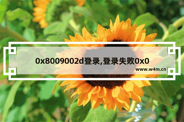 0x8009002d登录,登录失败0x0