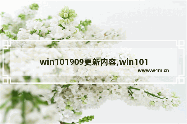 win101909更新内容,win101909怎么更新