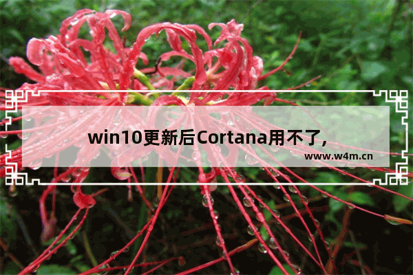 win10更新后Cortana用不了,