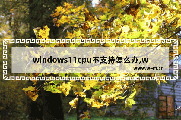 windows11cpu不支持怎么办,win11cpu不兼容