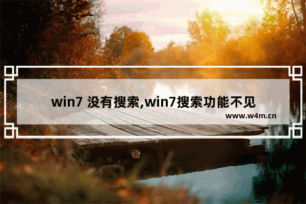 win7 没有搜索,win7搜索功能不见了