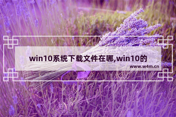 win10系统下载文件在哪,win10的软件下载在哪