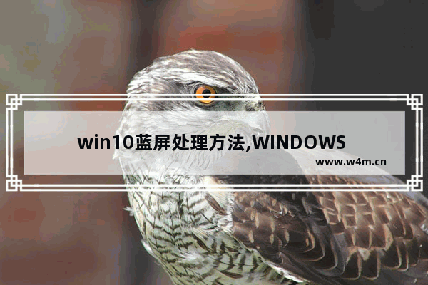 win10蓝屏处理方法,WINDOWS 11蓝屏