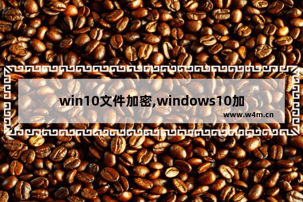 win10文件加密,windows10加密文件