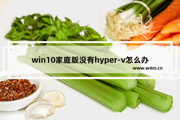 win10家庭版没有hyper-v怎么办,windows10家庭版没有hyper-v