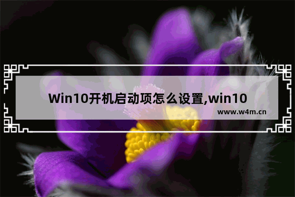 Win10开机启动项怎么设置,win10系统开机启动项设置方法