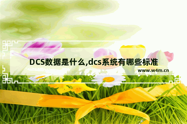 DCS数据是什么,dcs系统有哪些标准