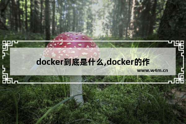 docker到底是什么,docker的作用是什么